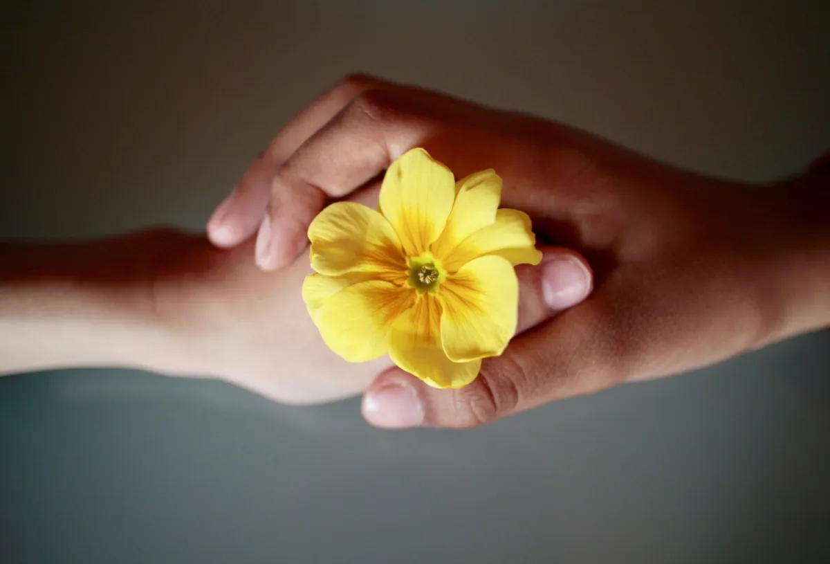 Semelhanças e Diferenças entre a Psicanálise Tradicional Freudiana, e as Psicoterapias Psicanalíticas